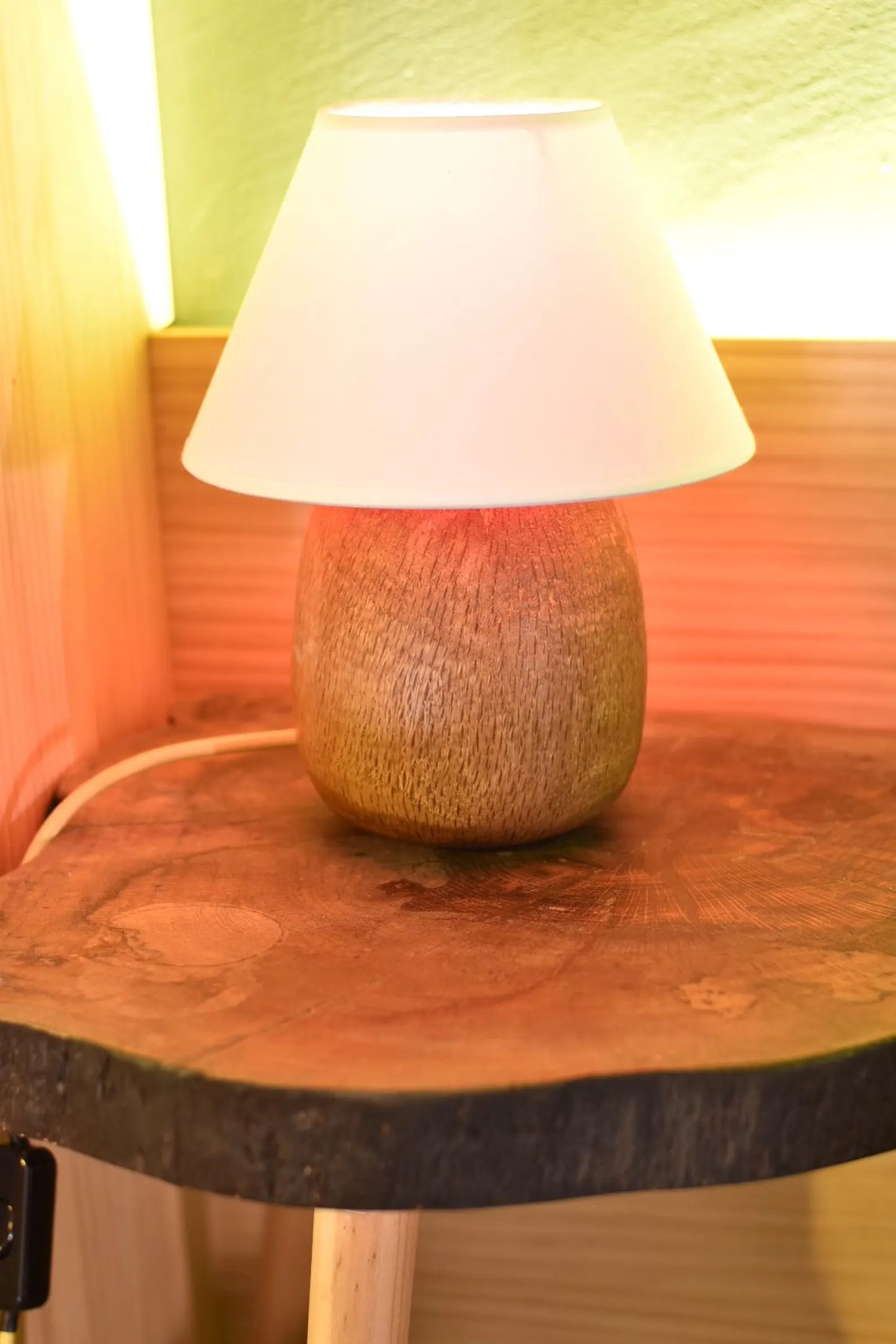 Boletus